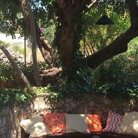 斯塔里格勒Relax Garden公寓 外观 照片
