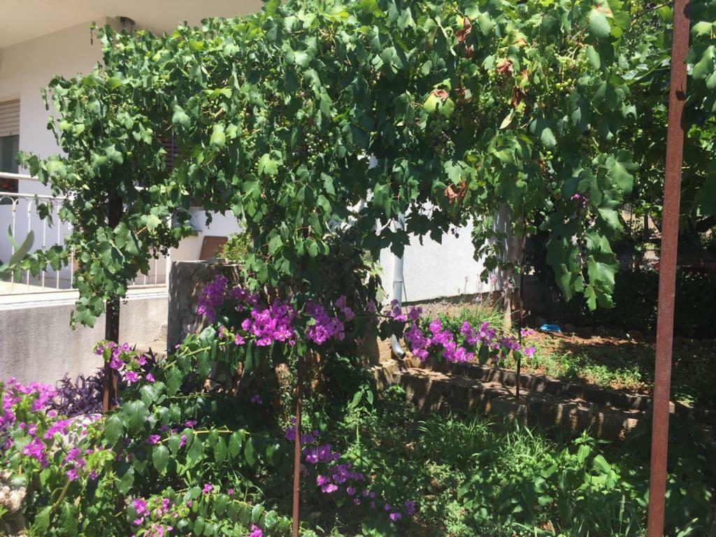 斯塔里格勒Relax Garden公寓 外观 照片